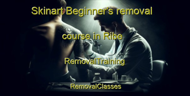 Skinart Beginner's removal course in Ribe | RemovalTraining | RemovalClasses | SkinartTraining-Denmark