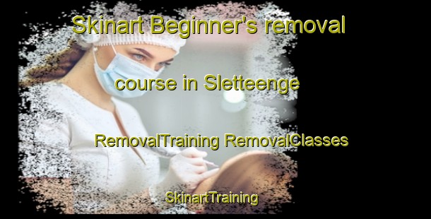 Skinart Beginner's removal course in Sletteenge | #RemovalTraining #RemovalClasses #SkinartTraining-Denmark