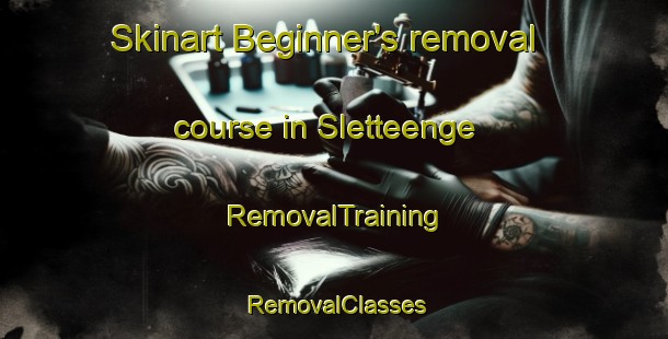 Skinart Beginner's removal course in Sletteenge | RemovalTraining | RemovalClasses | SkinartTraining-Denmark