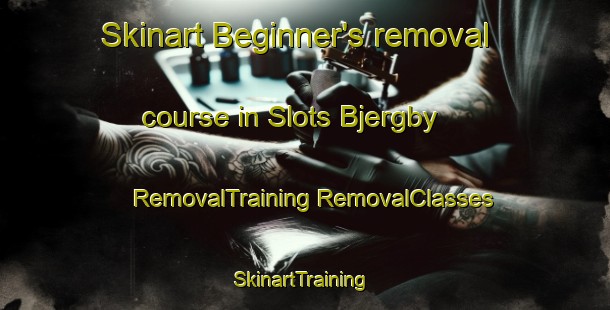 Skinart Beginner's removal course in Slots Bjergby | #RemovalTraining #RemovalClasses #SkinartTraining-Denmark