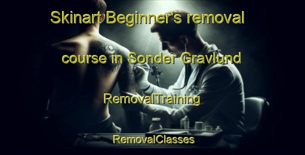 Skinart Beginner's removal course in Sonder Gravlund | RemovalTraining | RemovalClasses | SkinartTraining-Denmark