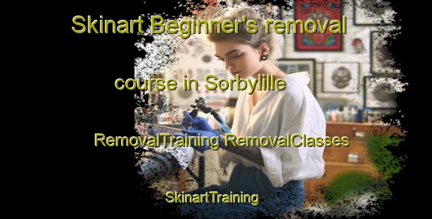 Skinart Beginner's removal course in Sorbylille | #RemovalTraining #RemovalClasses #SkinartTraining-Denmark