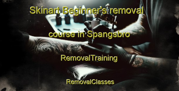 Skinart Beginner's removal course in Spangsbro | RemovalTraining | RemovalClasses | SkinartTraining-Denmark