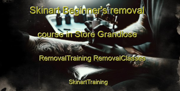 Skinart Beginner's removal course in Store Grandlose | #RemovalTraining #RemovalClasses #SkinartTraining-Denmark