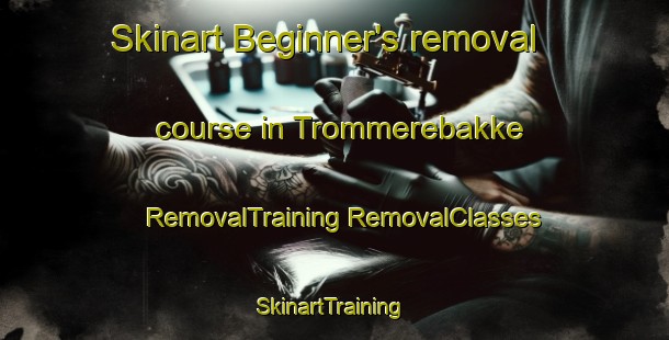 Skinart Beginner's removal course in Trommerebakke | #RemovalTraining #RemovalClasses #SkinartTraining-Denmark