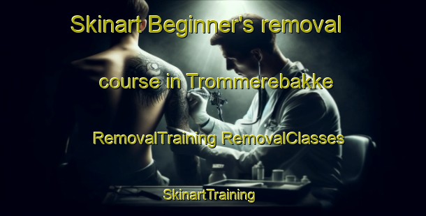 Skinart Beginner's removal course in Trommerebakke | #RemovalTraining #RemovalClasses #SkinartTraining-Denmark