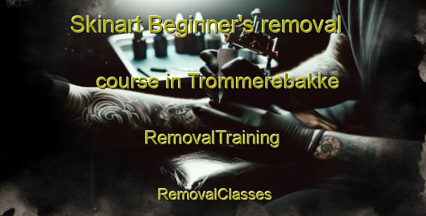 Skinart Beginner's removal course in Trommerebakke | RemovalTraining | RemovalClasses | SkinartTraining-Denmark