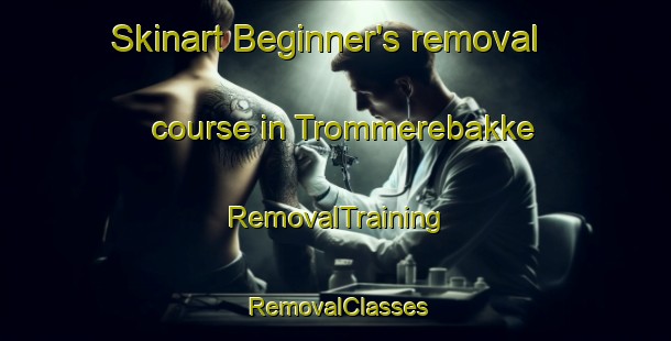 Skinart Beginner's removal course in Trommerebakke | RemovalTraining | RemovalClasses | SkinartTraining-Denmark
