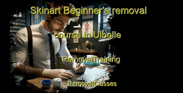 Skinart Beginner's removal course in Ulbolle | RemovalTraining | RemovalClasses | SkinartTraining-Denmark