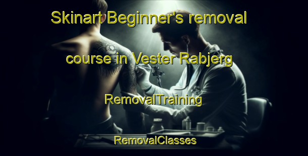 Skinart Beginner's removal course in Vester Rabjerg | RemovalTraining | RemovalClasses | SkinartTraining-Denmark