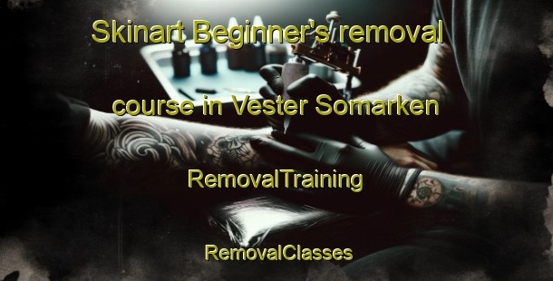 Skinart Beginner's removal course in Vester Somarken | RemovalTraining | RemovalClasses | SkinartTraining-Denmark