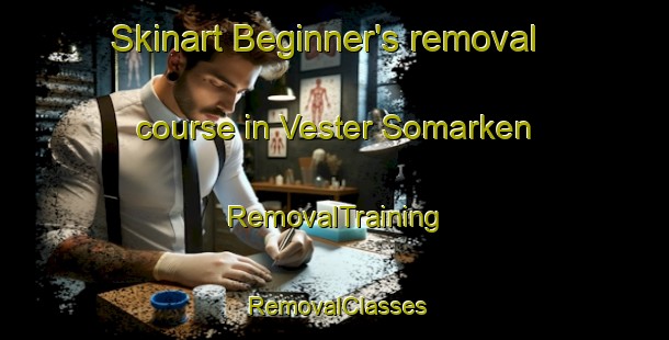 Skinart Beginner's removal course in Vester Somarken | RemovalTraining | RemovalClasses | SkinartTraining-Denmark