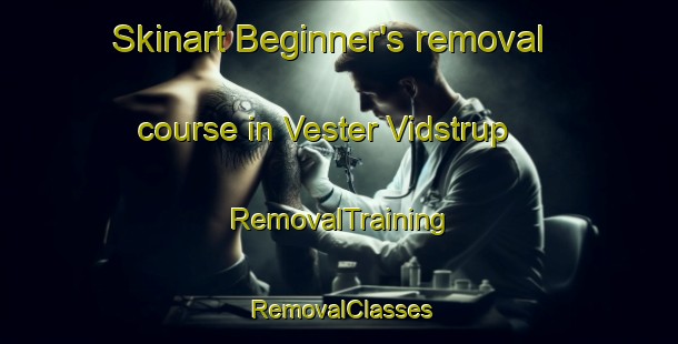 Skinart Beginner's removal course in Vester Vidstrup | RemovalTraining | RemovalClasses | SkinartTraining-Denmark