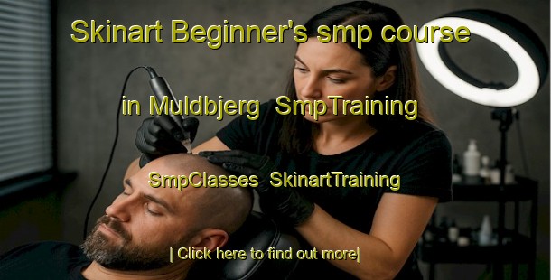 Skinart Beginner's smp course in Muldbjerg | SmpTraining | SmpClasses | SkinartTraining-Denmark
