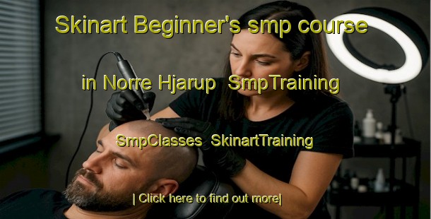 Skinart Beginner's smp course in Norre Hjarup | SmpTraining | SmpClasses | SkinartTraining-Denmark