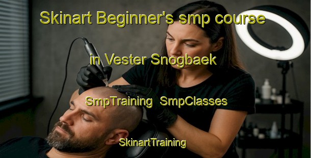 Skinart Beginner's smp course in Vester Snogbaek | SmpTraining | SmpClasses | SkinartTraining-Denmark