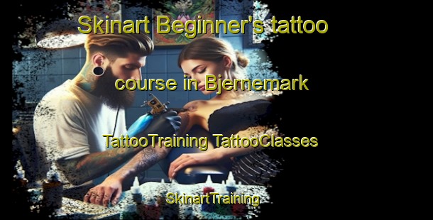 Skinart Beginner's tattoo course in Bjernemark | #TattooTraining #TattooClasses #SkinartTraining-Denmark