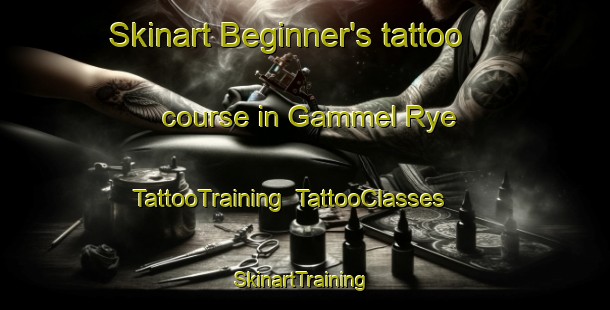 Skinart Beginner's tattoo course in Gammel Rye | TattooTraining | TattooClasses | SkinartTraining-Denmark