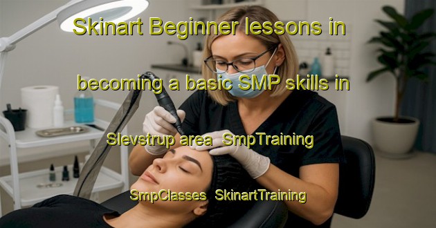 Skinart Beginner lessons in becoming a basic SMP skills in Slevstrup area | SmpTraining | SmpClasses | SkinartTraining-Denmark