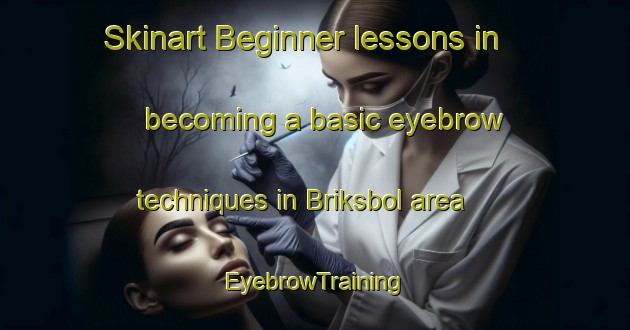 Skinart Beginner lessons in becoming a basic eyebrow techniques in Briksbol area | EyebrowTraining | EyebrowClasses | SkinartTraining-Denmark