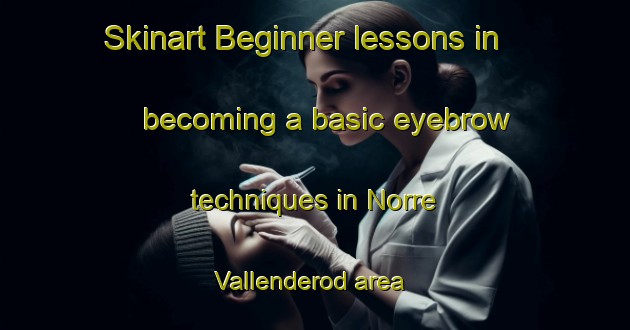 Skinart Beginner lessons in becoming a basic eyebrow techniques in Norre Vallenderod area | EyebrowTraining | EyebrowClasses | SkinartTraining-Denmark