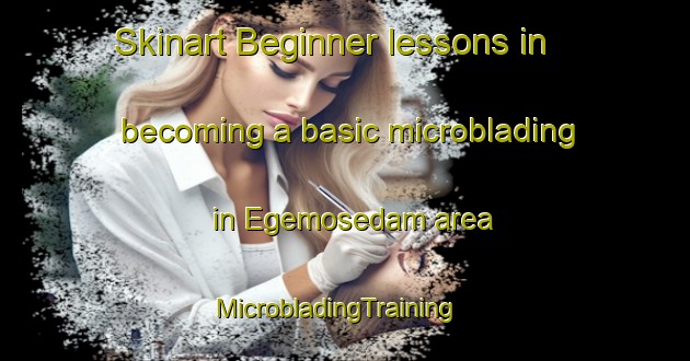 Skinart Beginner lessons in becoming a basic microblading in Egemosedam area | MicrobladingTraining | MicrobladingClasses | SkinartTraining-Denmark