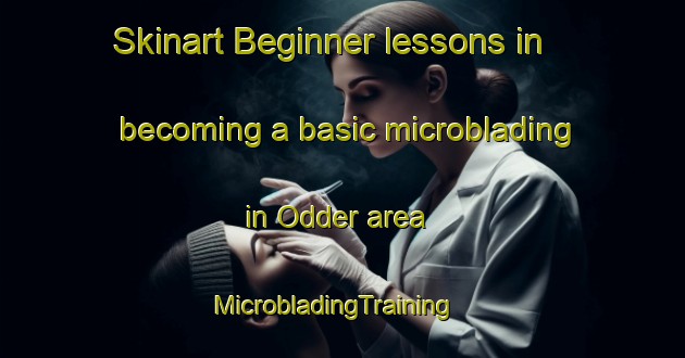 Skinart Beginner lessons in becoming a basic microblading in Odder area | MicrobladingTraining | MicrobladingClasses | SkinartTraining-Denmark