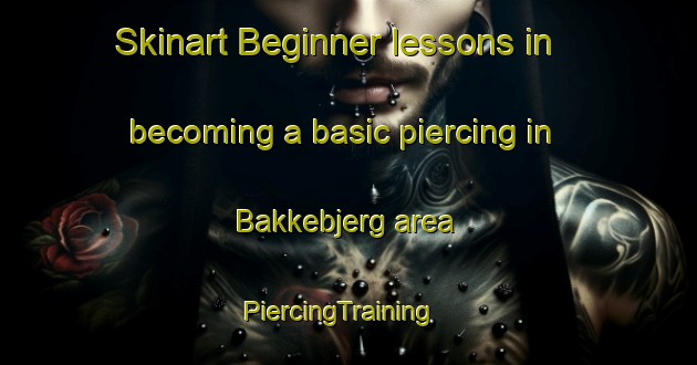Skinart Beginner lessons in becoming a basic piercing in Bakkebjerg area | PiercingTraining | PiercingClasses | SkinartTraining-Denmark