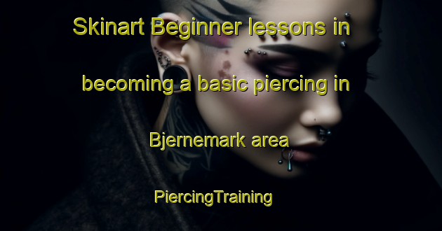 Skinart Beginner lessons in becoming a basic piercing in Bjernemark area | PiercingTraining | PiercingClasses | SkinartTraining-Denmark