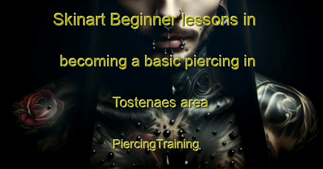 Skinart Beginner lessons in becoming a basic piercing in Tostenaes area | PiercingTraining | PiercingClasses | SkinartTraining-Denmark