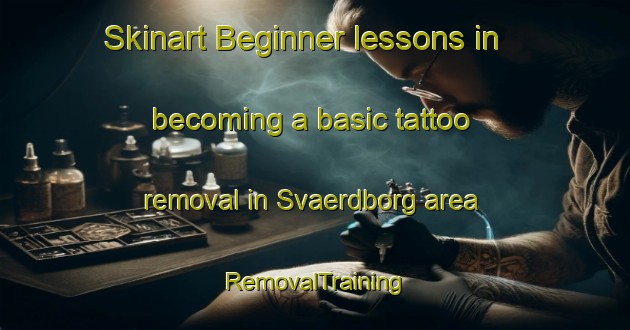 Skinart Beginner lessons in becoming a basic tattoo removal in Svaerdborg area | RemovalTraining | RemovalClasses | SkinartTraining-Denmark