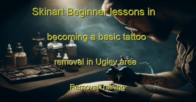 Skinart Beginner lessons in becoming a basic tattoo removal in Uglev area | RemovalTraining | RemovalClasses | SkinartTraining-Denmark