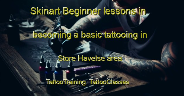 Skinart Beginner lessons in becoming a basic tattooing in Store Havelse area | TattooTraining | TattooClasses | SkinartTraining-Denmark