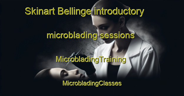 Skinart Bellinge introductory microblading sessions | #MicrobladingTraining #MicrobladingClasses #SkinartTraining-Denmark