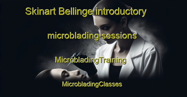 Skinart Bellinge introductory microblading sessions | MicrobladingTraining | MicrobladingClasses | SkinartTraining-Denmark