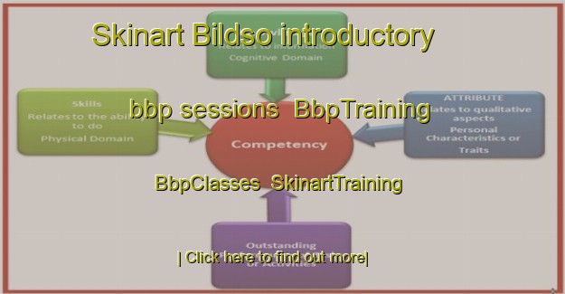 Skinart Bildso introductory bbp sessions | BbpTraining | BbpClasses | SkinartTraining-Denmark