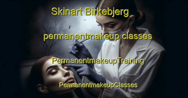 Skinart Birkebjerg permanentmakeup classes | #PermanentmakeupTraining #PermanentmakeupClasses #SkinartTraining-Denmark