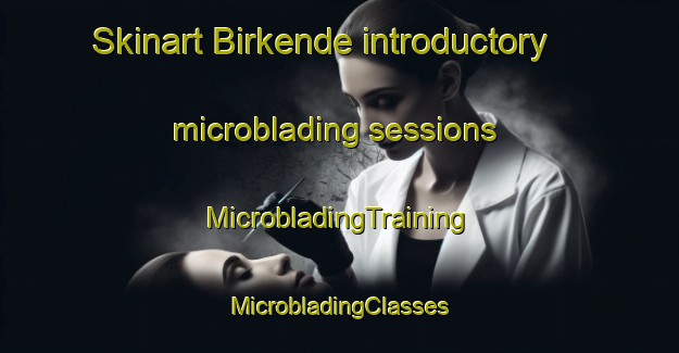 Skinart Birkende introductory microblading sessions | #MicrobladingTraining #MicrobladingClasses #SkinartTraining-Denmark