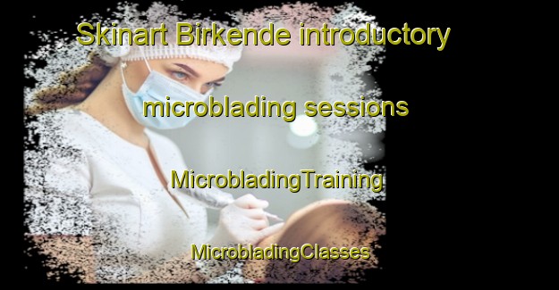 Skinart Birkende introductory microblading sessions | #MicrobladingTraining #MicrobladingClasses #SkinartTraining-Denmark