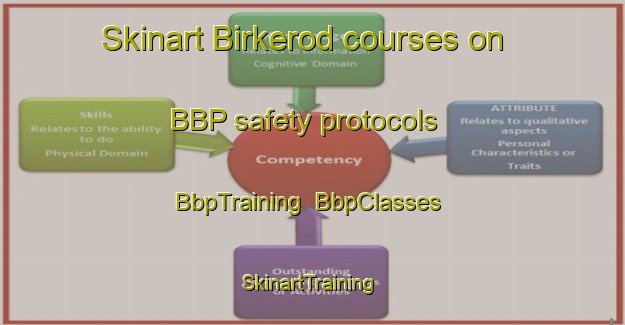 Skinart Birkerod courses on BBP safety protocols | BbpTraining | BbpClasses | SkinartTraining-Denmark