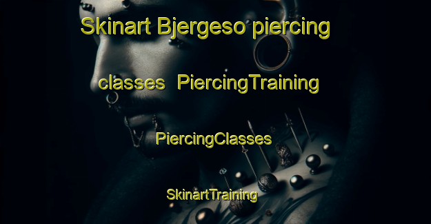 Skinart Bjergeso piercing classes | #PiercingTraining #PiercingClasses #SkinartTraining-Denmark