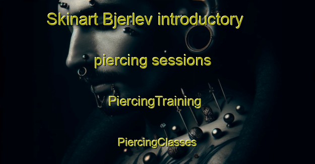 Skinart Bjerlev introductory piercing sessions | #PiercingTraining #PiercingClasses #SkinartTraining-Denmark