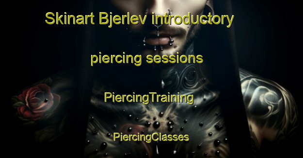 Skinart Bjerlev introductory piercing sessions | #PiercingTraining #PiercingClasses #SkinartTraining-Denmark