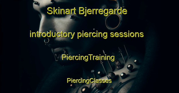 Skinart Bjerregarde introductory piercing sessions | #PiercingTraining #PiercingClasses #SkinartTraining-Denmark