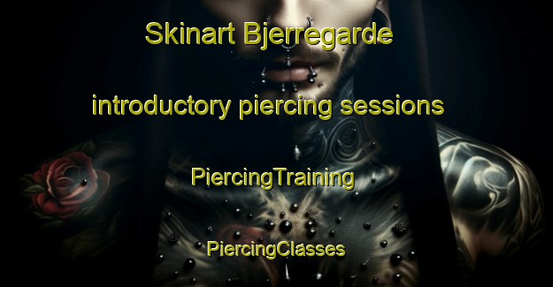 Skinart Bjerregarde introductory piercing sessions | #PiercingTraining #PiercingClasses #SkinartTraining-Denmark