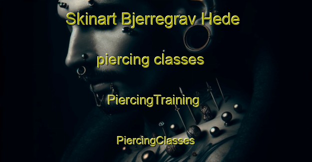 Skinart Bjerregrav Hede piercing classes | #PiercingTraining #PiercingClasses #SkinartTraining-Denmark