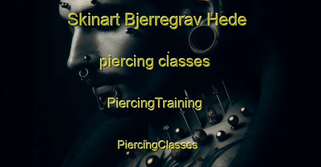 Skinart Bjerregrav Hede piercing classes | PiercingTraining | PiercingClasses | SkinartTraining-Denmark