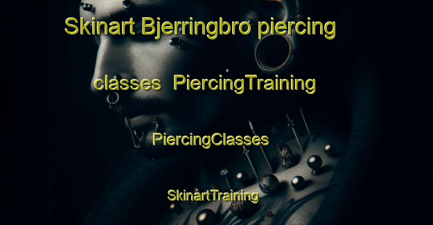 Skinart Bjerringbro piercing classes | PiercingTraining | PiercingClasses | SkinartTraining-Denmark