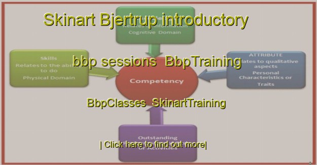 Skinart Bjertrup introductory bbp sessions | BbpTraining | BbpClasses | SkinartTraining-Denmark