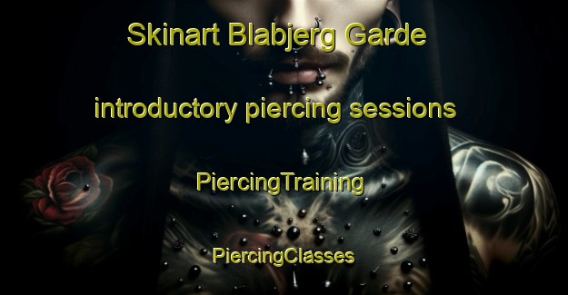 Skinart Blabjerg Garde introductory piercing sessions | #PiercingTraining #PiercingClasses #SkinartTraining-Denmark